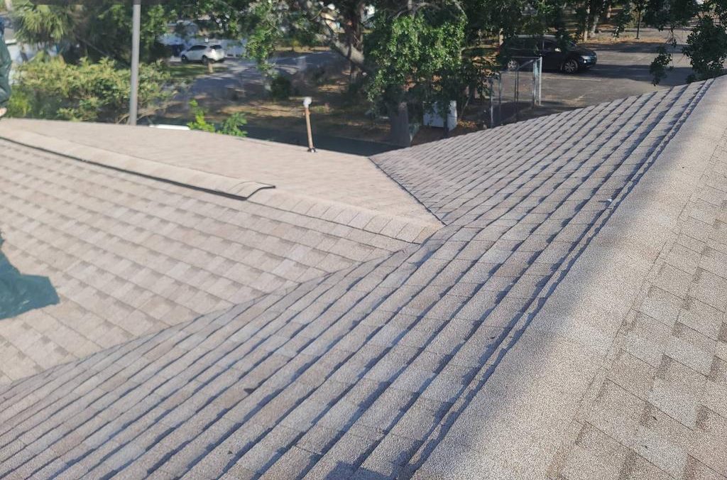 Atlas Tan Mist shingle roof installed by Providential Roofing in Bradenton, Florida